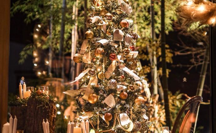 Merry X'mas🎄✨
＊
@mercure_hidatakayama 様のエントランスにお目見えしたクリスマス装飾✨
撮影を担当させていただきました📸
ありがとうございます！！
＊
ツリーや、リースがとても綺麗で、うっとり😍
材料などは自然のものがふんだんに使用されており、こだわりが伝わって来ます✨☺️
＊
一般の方も見学できるようなので、ぜひ見に行って見てください！😉
クリスマスが終わったら無くなってしまうかも！？お早めに✨
＊
朝食バイキングも、一般のお客様向けに始まっていますよ✨
どれもめちゃくちゃ美味しいです！！😍
是非どうぞ！🍳🍞🍚🥓🥑🍎
＊
2023.12.21
メルキュール飛騨高山
Photo & Edit @asumisenoue 
Special thanks!
@mercure_hidatakayama 
@ken_shimollows @_saorikanda 
＊
❀❁❄︎❀❁❄︎❀❁❄︎❀❁❀❁❄︎❀❁❄︎❀❁❄︎❀❁❄︎❀❁❄︎

⛰岐阜県公式観光サイト🚃
『岐阜の旅ガイド』にて
@visit.gifupref 
地元レポーターあすみんとして
記事を書いております✍️

岐阜県内の素敵な場所やイベント、
人や物など、魅力的な情報を発信してまいります。
新しくできたお店や、素敵な場所の情報など、
皆さんのお気に入りを是非教えてください！🥰

岐阜の旅ガイド
『地元レポーター発！旅のコラム』はこちら↓
https://www.kankou-gifu.jp/blog/index_1____154.html 

プロフィールのURLから記事へ飛べます♪
@asumisenoue 

是非、ご覧ください♪☺️

❀❁❄︎❀❁❄︎❀❁❄︎❀❁❀❁❄︎❀❁❄︎❀❁❄︎❀❁❄︎❀❁❄︎
＊
#飛騨の景色を届けたい #飛騨のたばる箱 #gifuebooks  #gifuphoto #photo_travelers #mst_photo #ホテル #_photo_drive_ #岐阜県インスタ部 #ひだまるけ #photo_shorttrip #tokyocameraclub #photo_jpn #winter #visitjapanjp #japan_bestpic_ #visit_tokai #lovers_nippon #ひだジェニック #東京カメラ部 #merrychristmas #photo_jpn #jalan_travel #飛騨高山 #hidatrip #autumn #raytrek_photo #japan_daytime_view #ritrip_nippon #sorakataphoto #nikon @hida_takayama_tourism @tobutoptours_jp