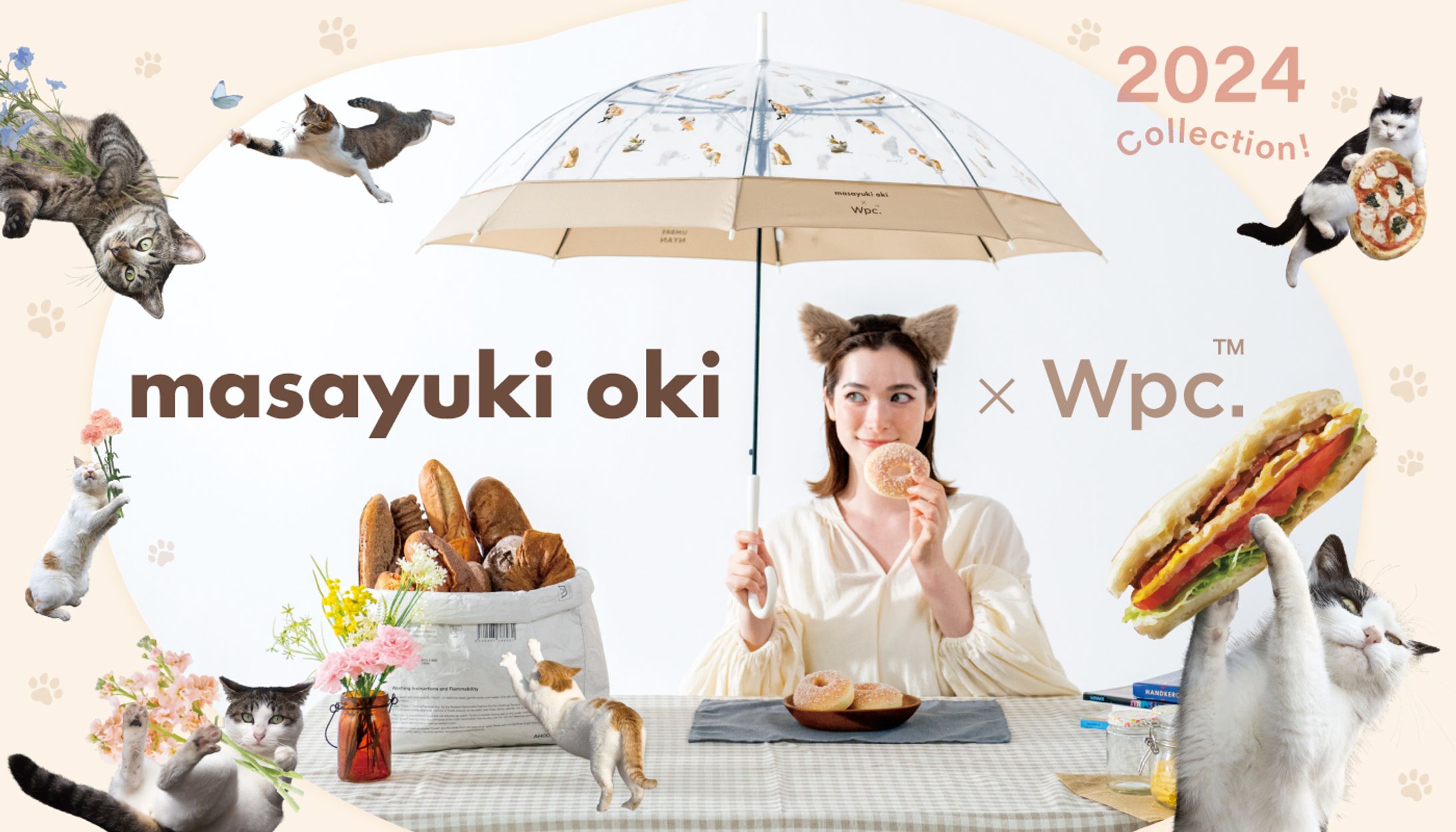 猫メインビジュアル-1