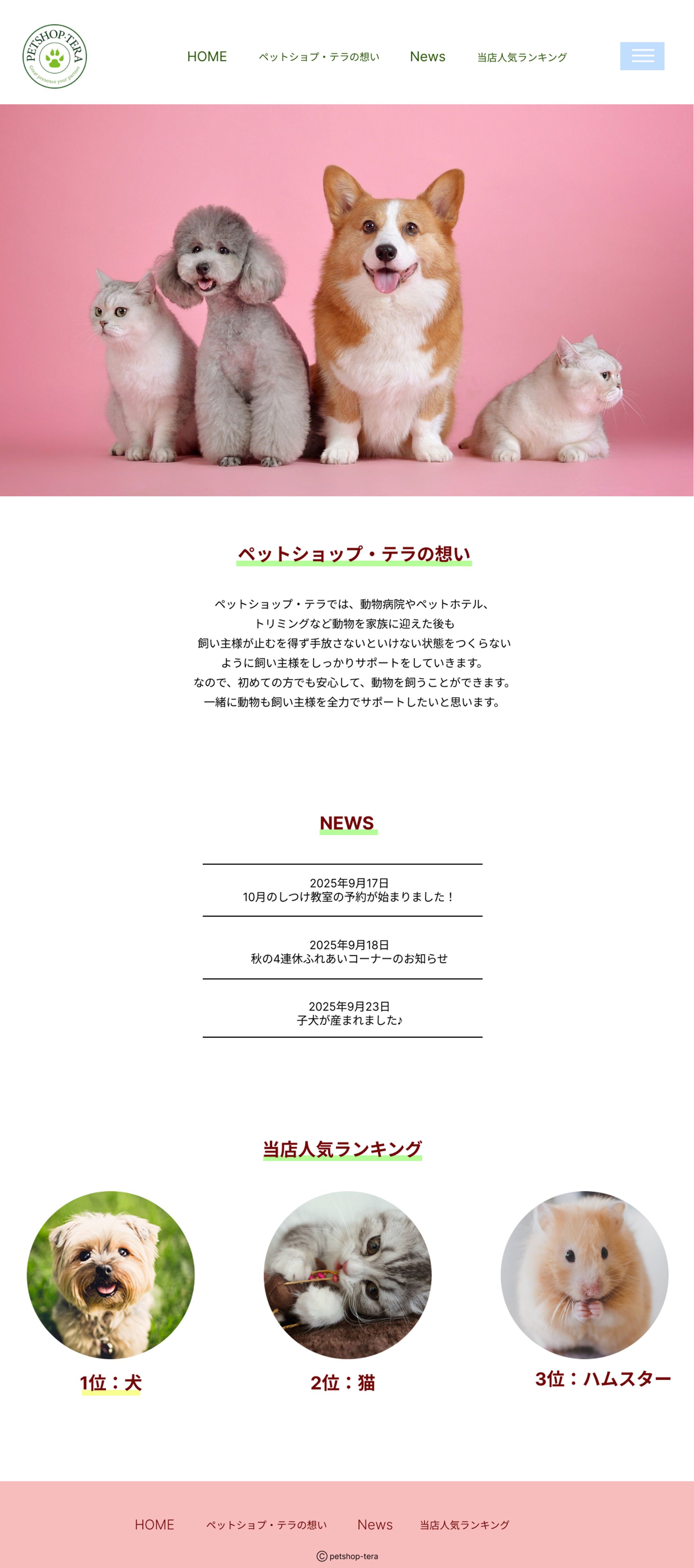 PETSHOP TERA-1