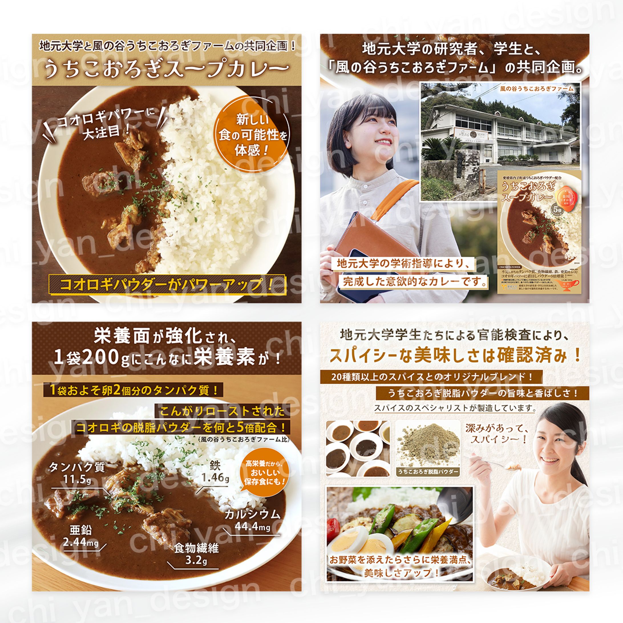 【制作実績】コオロギカレー商品画像-1