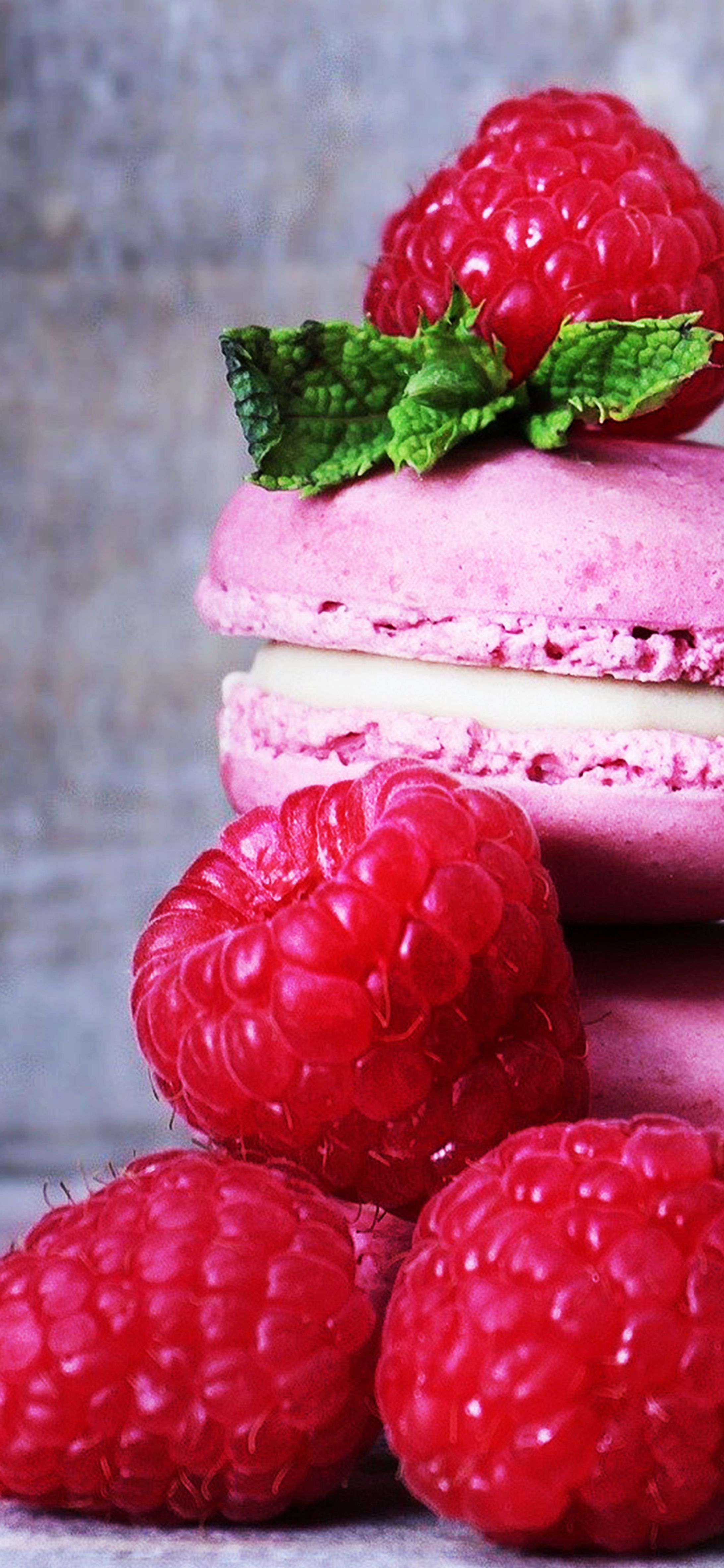 スマホ用壁紙(マカロン)-1