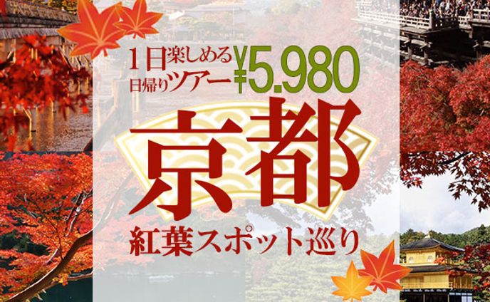 観光バスのツアー