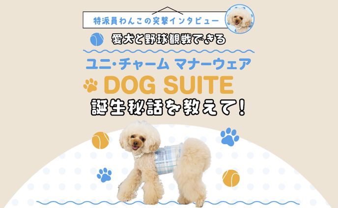 建築、提供したもの
