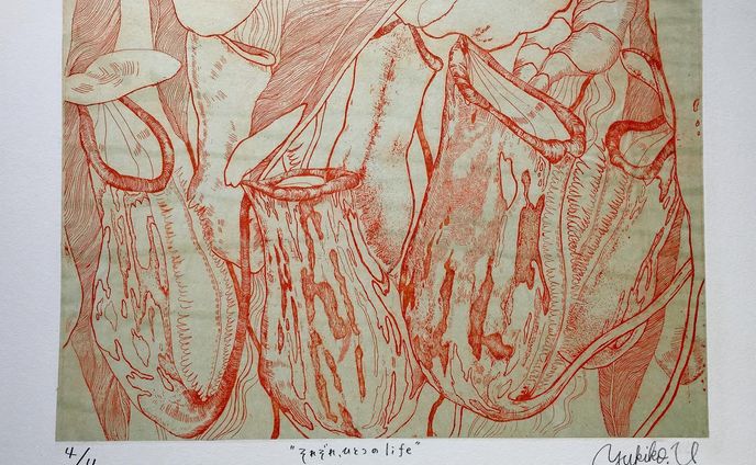 それぞれ、ひとつのlife
one life each
24㎝×36㎝
#etching
#雁皮刷り

この植物って、ひとつひとつのウツボが独立して生えてると思ってたんですが、そうではなくて、6〜8つぐらいのウツボがひとつの根を共有して生えています。
こんな風に生えるのか〜って思いました
つながっていないように見えて、実はつながっていたり、繋がっているようで、ひとりで生きている。そういったことを絵にしました。

雁皮紙はダイロンで染めました。
ウツボカズラとステイホームしてます☺︎ #artworks
#contemporaryart