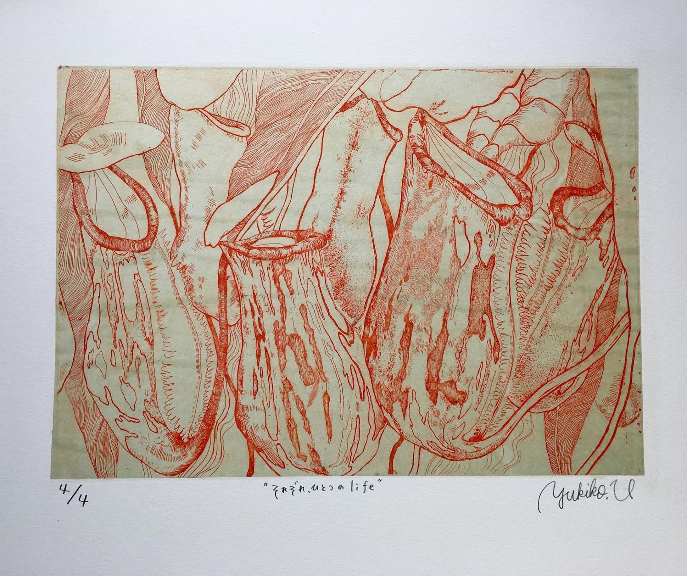 それぞれ、ひとつのlife
one life each
24㎝×36㎝
#etching
#雁皮刷り

この植物って、ひとつひとつのウツボが独立して生えてると思ってたんですが、そうではなくて、6〜8つぐらいのウツボがひとつの根を共有して生えています。
こんな風に生えるのか〜って思いました
つながっていないように見えて、実はつながっていたり、繋がっているようで、ひとりで生きている。そういったことを絵にしました。

雁皮紙はダイロンで染めました。
ウツボカズラとステイホームしてます☺︎ #artworks
#contemporaryart-1