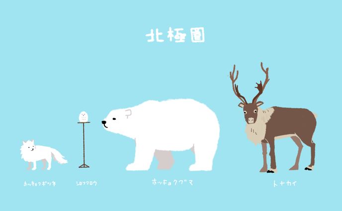 動物系、remix