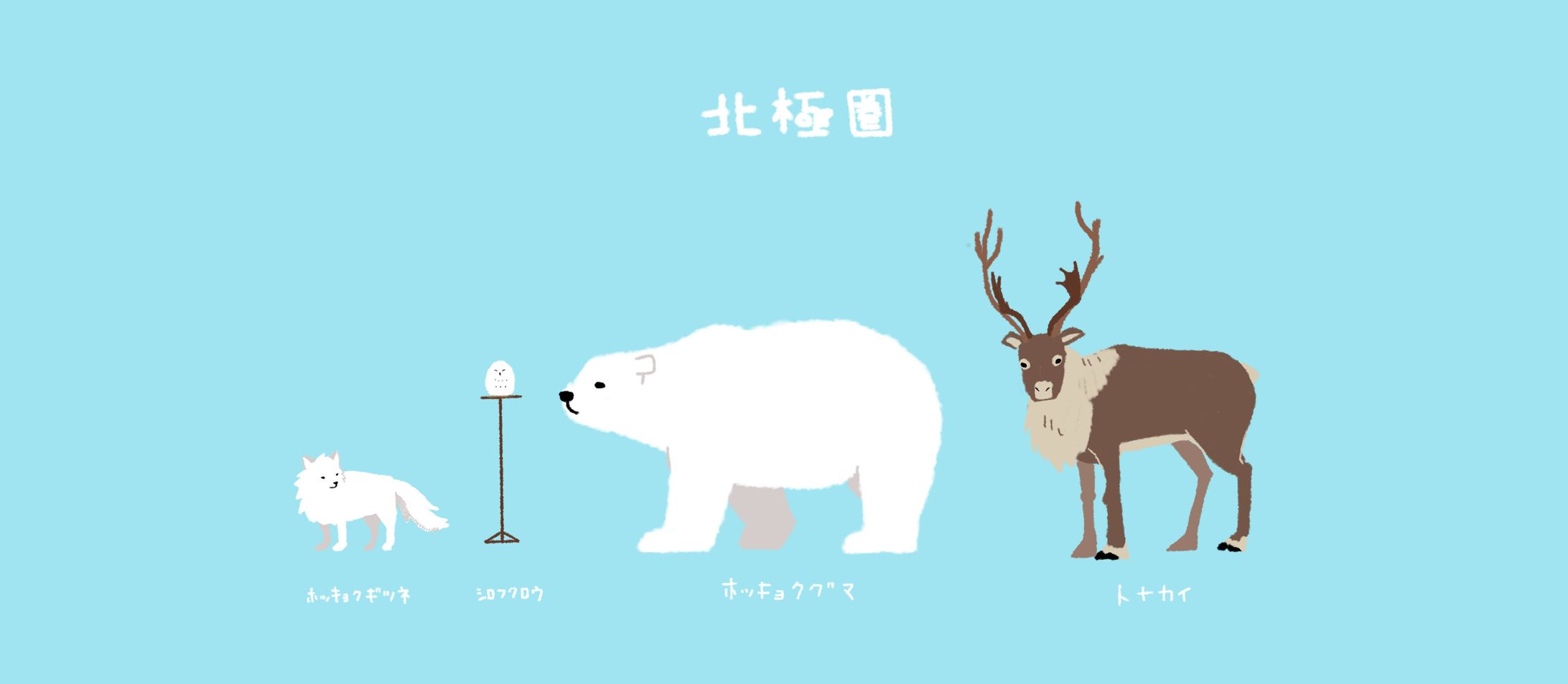 動物園-1