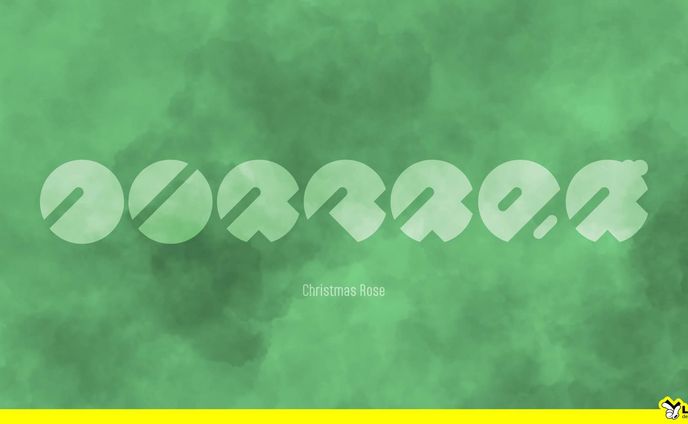 【124】クリスマスローズ