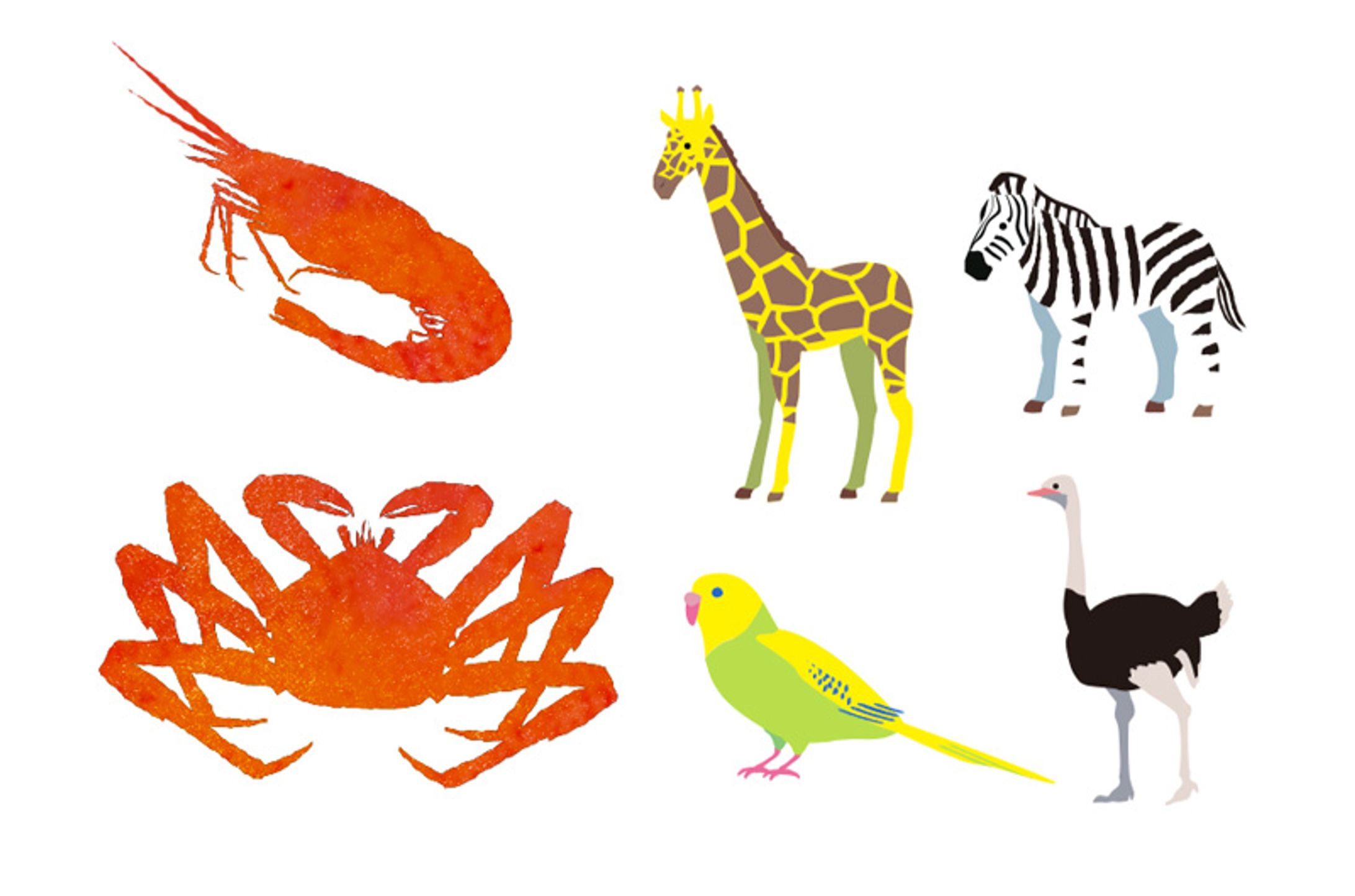 動物のイラスト-1