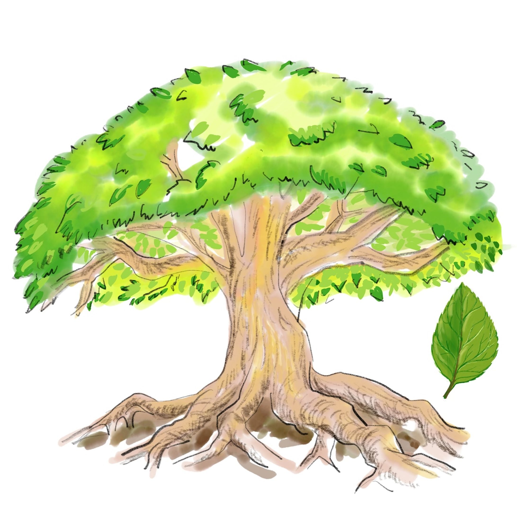 エコ・環境イメージ-1