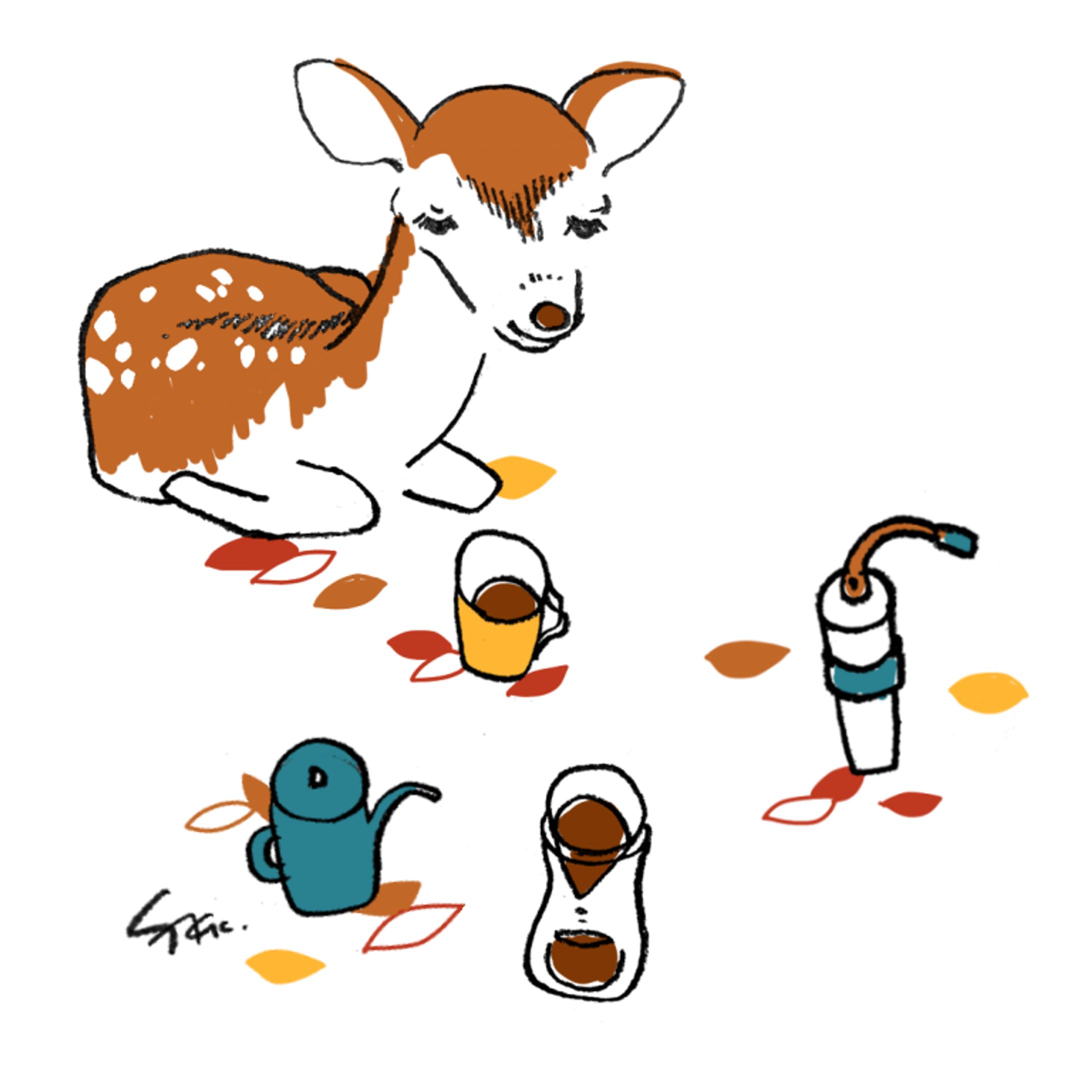 子鹿とコーヒー-1