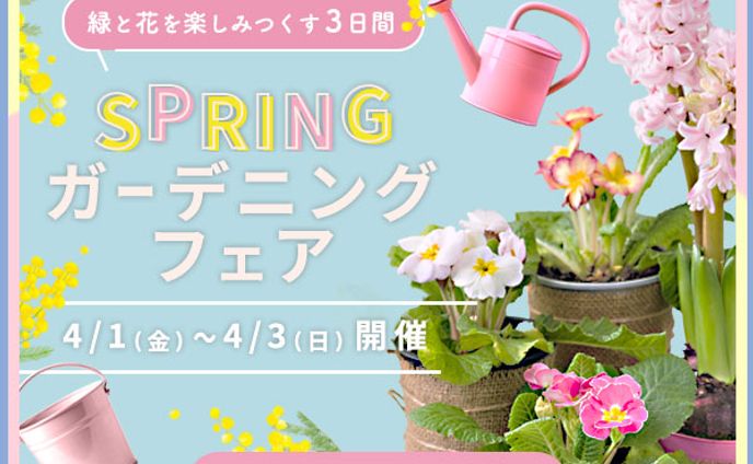 SPRINGバナー