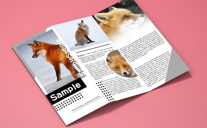 series、leaflet
