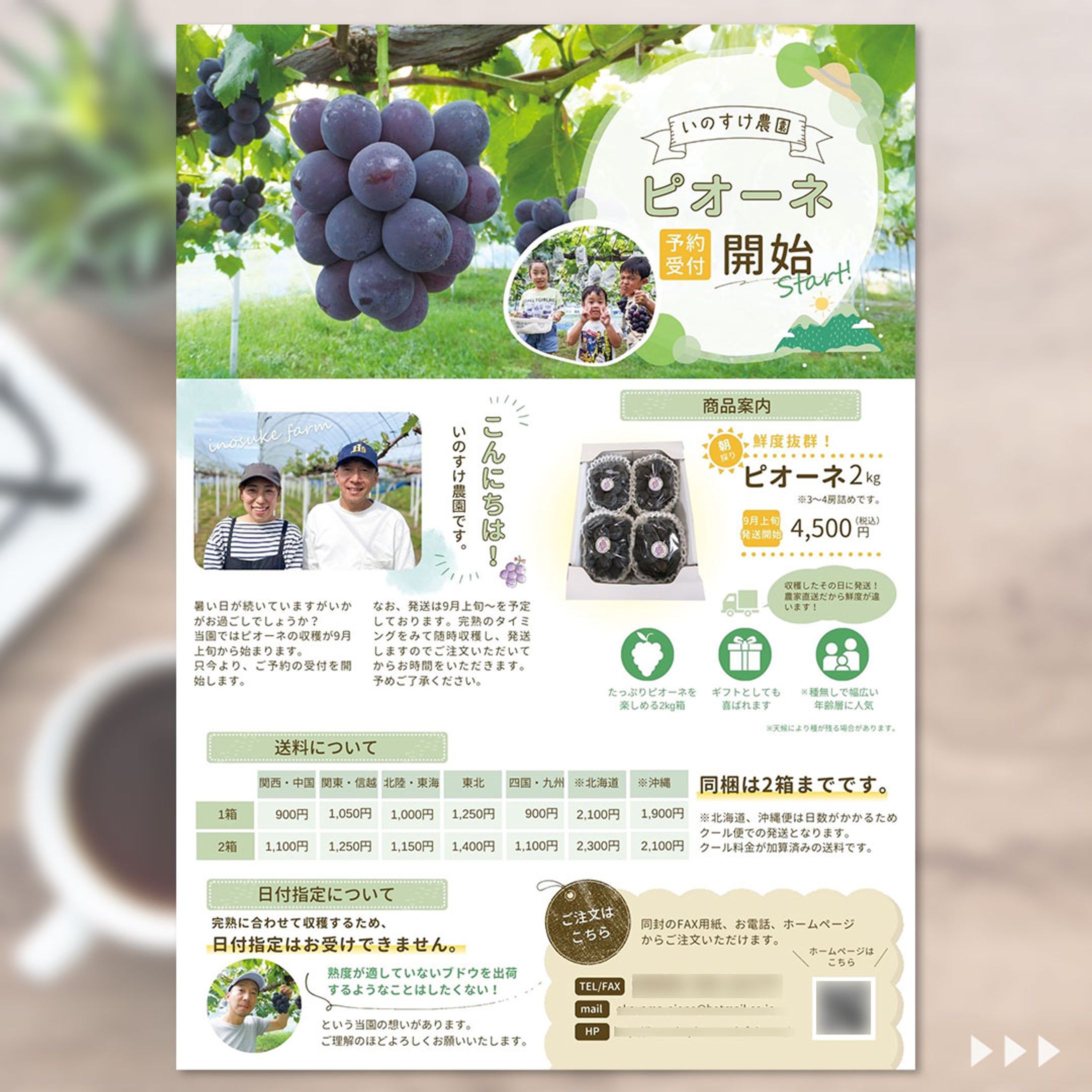 [works]ぶどう農園の三つ折り商品案内DM-1