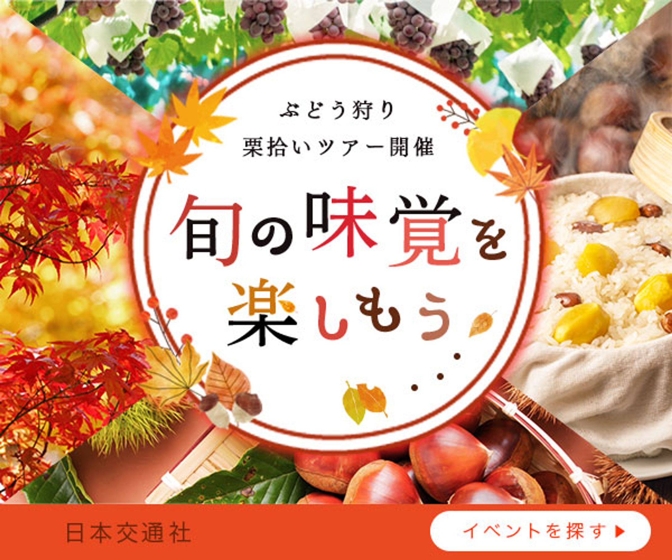 バナー：秋の味覚狩りイベント-1