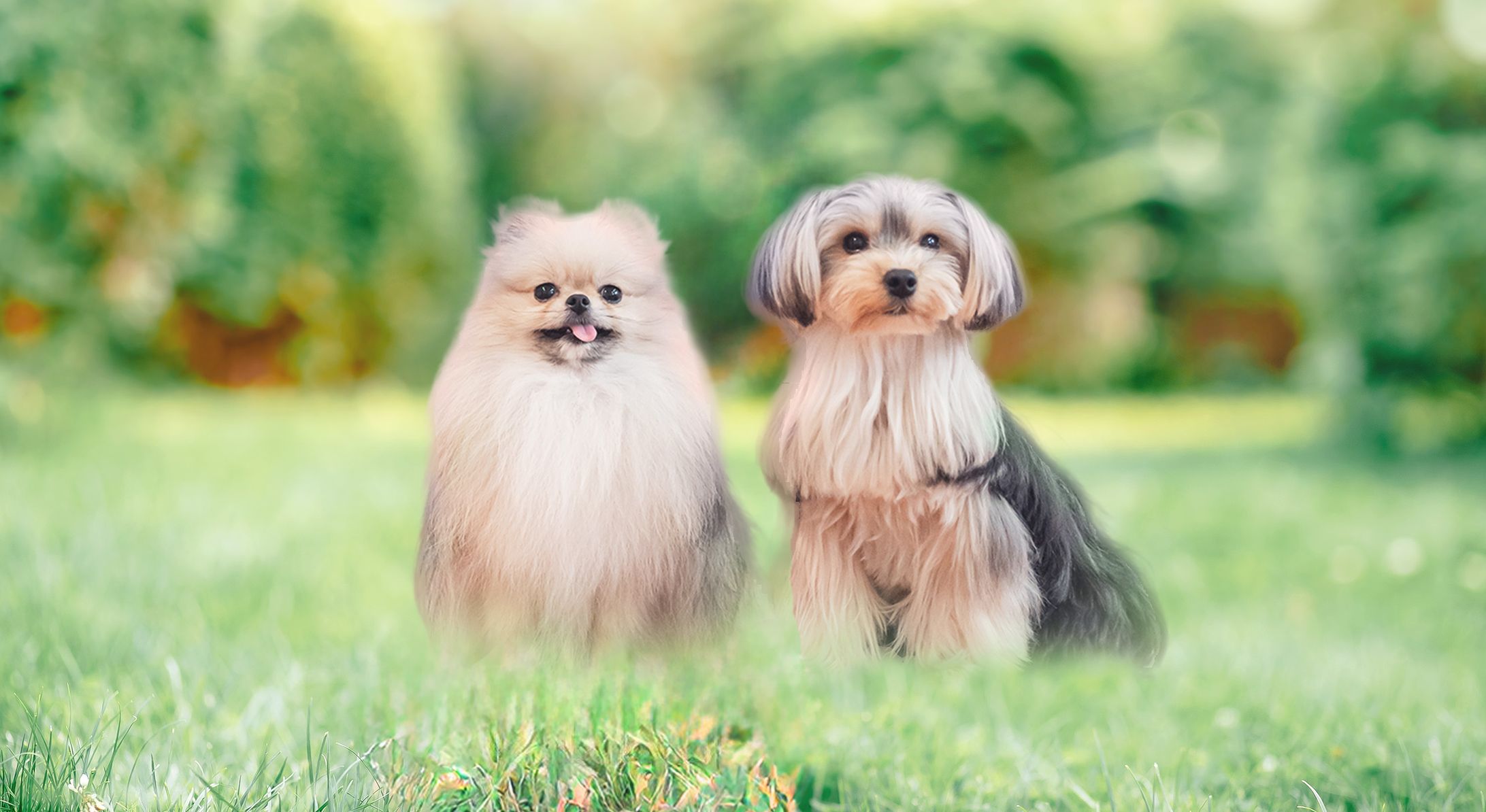 【制作実績】ファーストビュー画像加工-1