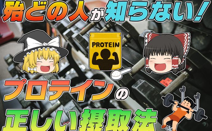 ゆっくり系 プロテインの摂取法