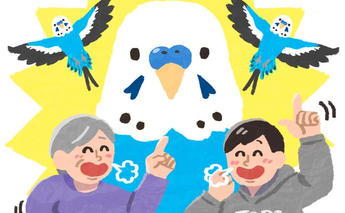 キャラクターイラスト、イラスト作成