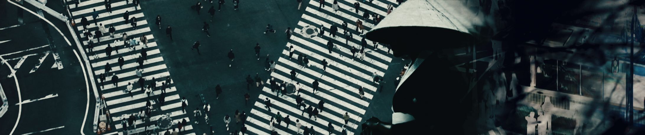  忍者 + 歌舞伎　オープニング、エンディングムービー-1