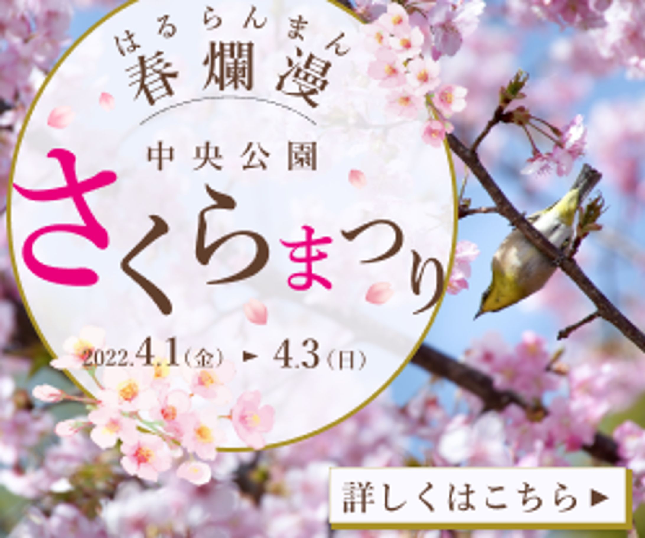 さくらまつり（架空）　バナー-1