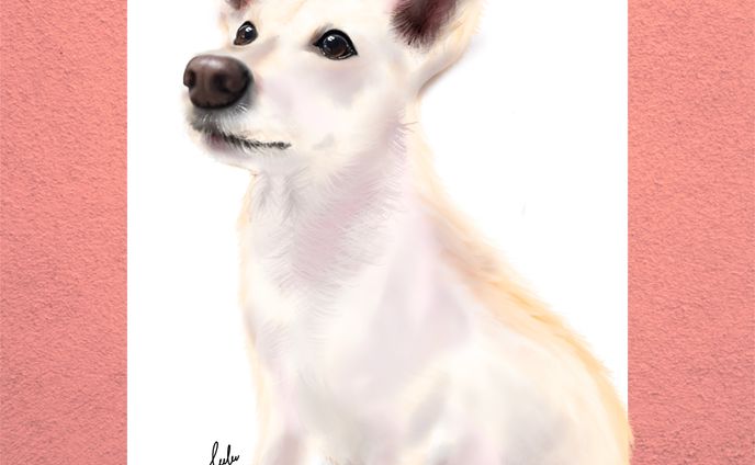 🐶イラスト集🐶