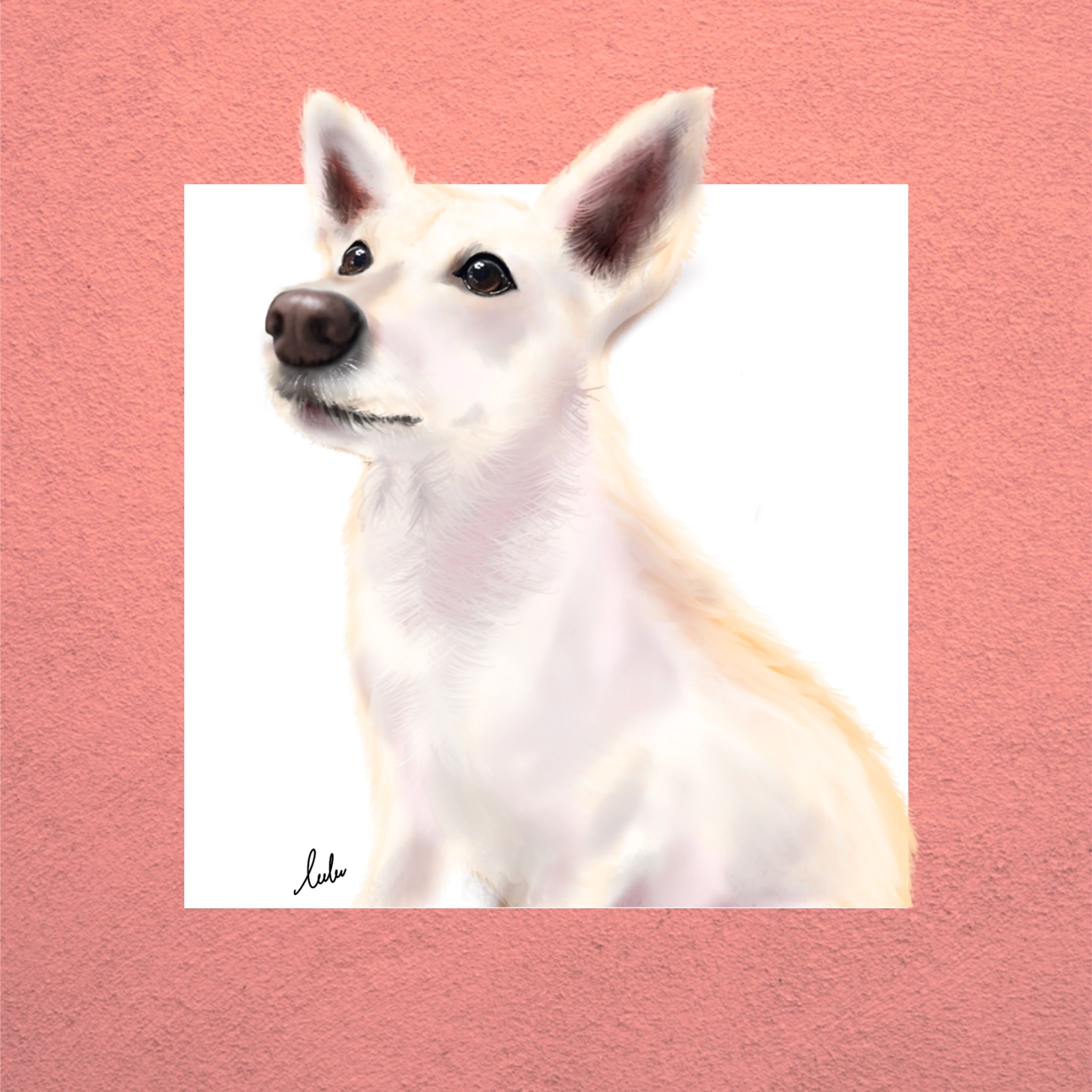 🐶イラスト集🐶-1