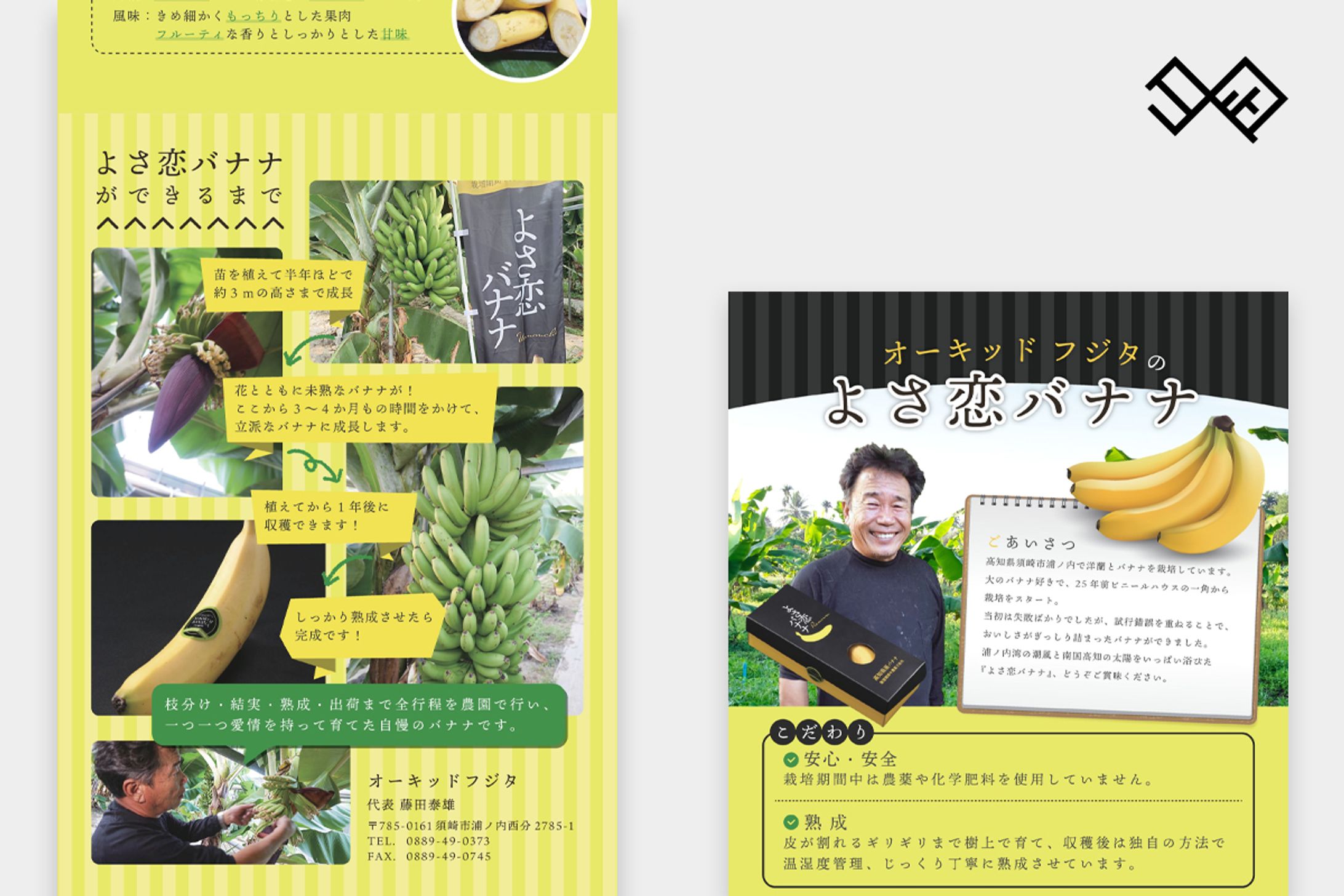 高知県産プレミアムバナナ「よさ恋バナナ」商品紹介フライヤー（食品・農業）-1