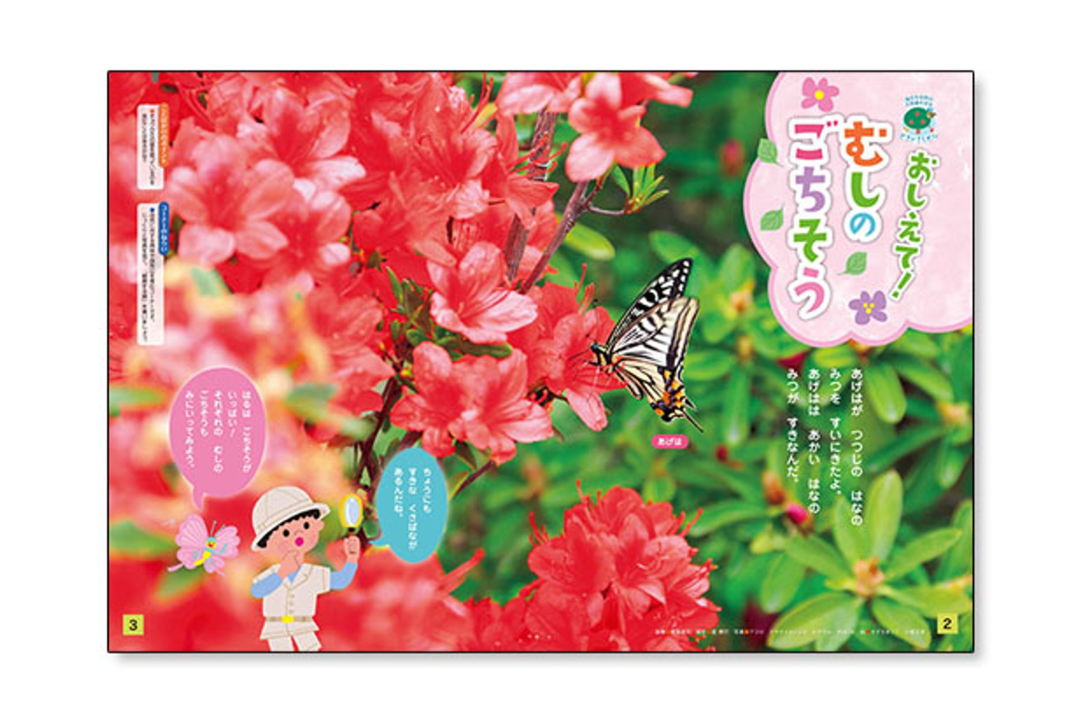 キンダーブック3-1