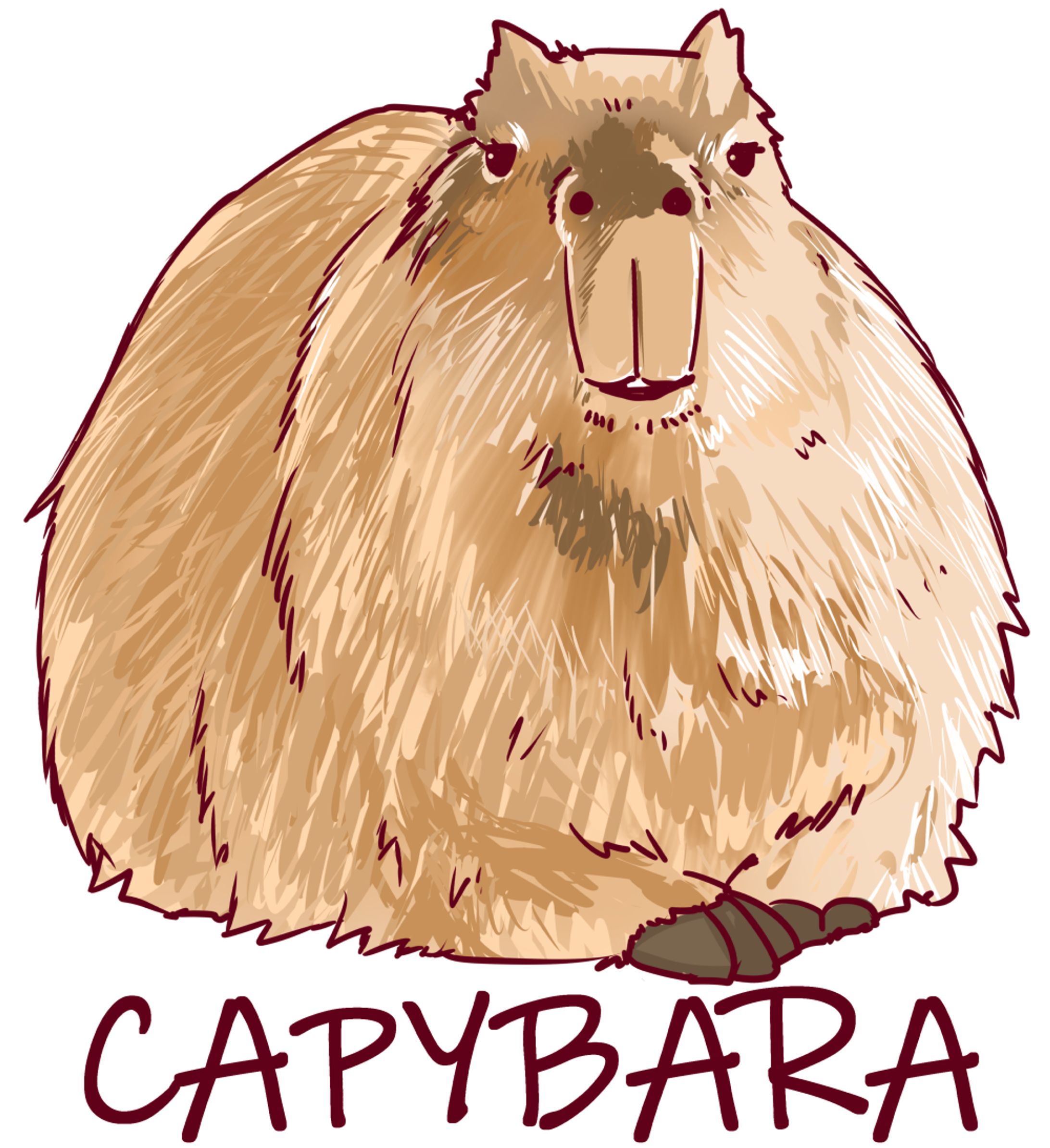 カピバラ-1