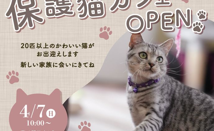 保護猫カフェオープン