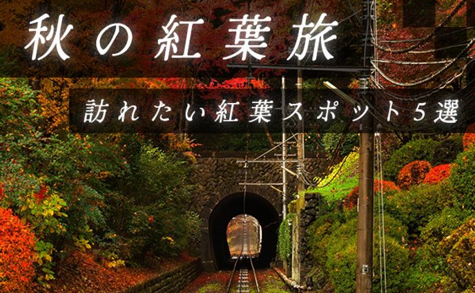 バナー、【架空バナー】