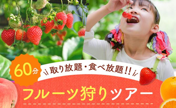 【架空】フルーツ狩りツアー　バナー