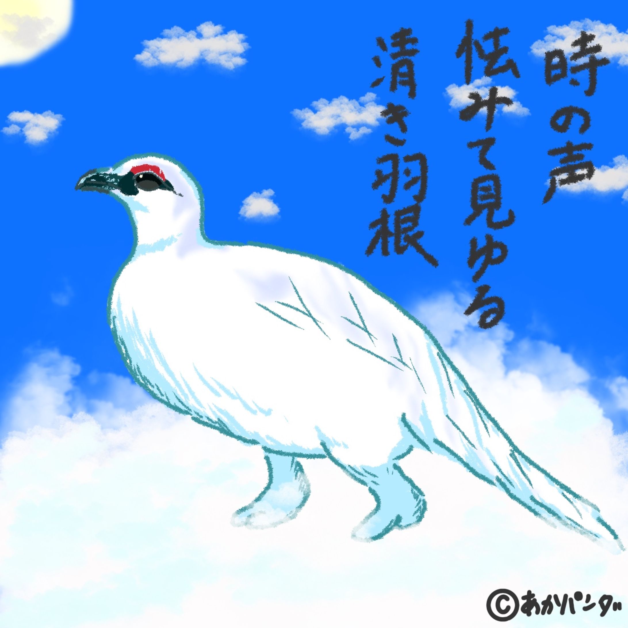 動物イラスト-1