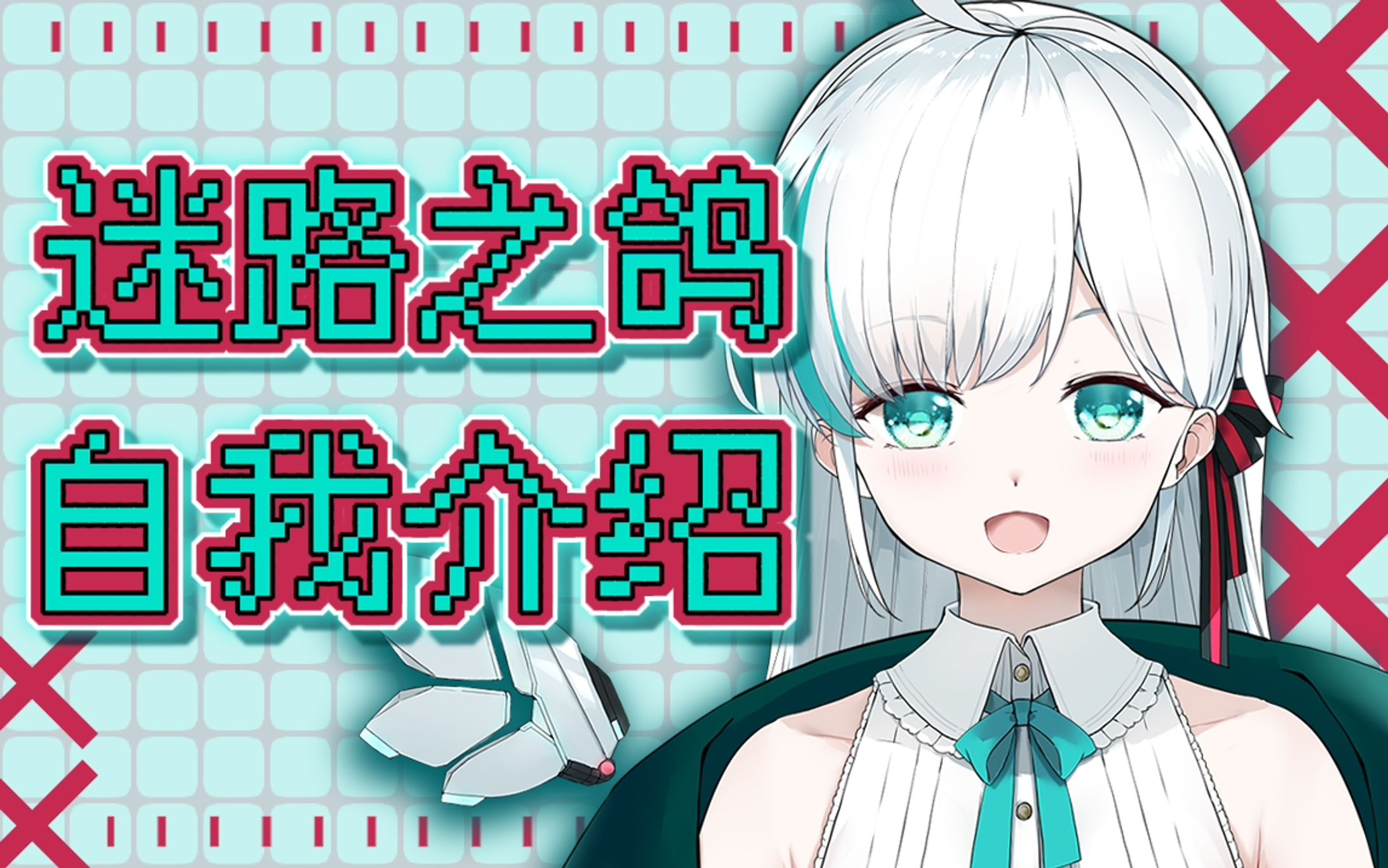 迷路之鸽自我介绍【20210515】-1
