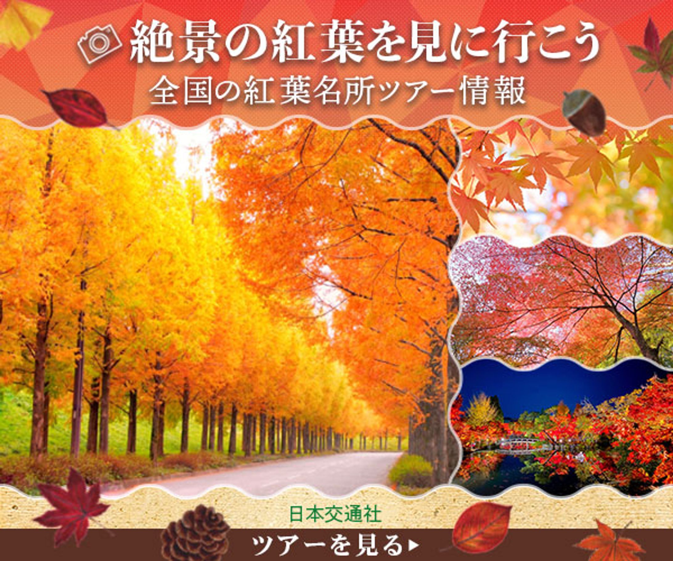 バナー：絶景の紅葉を見に行こう-1