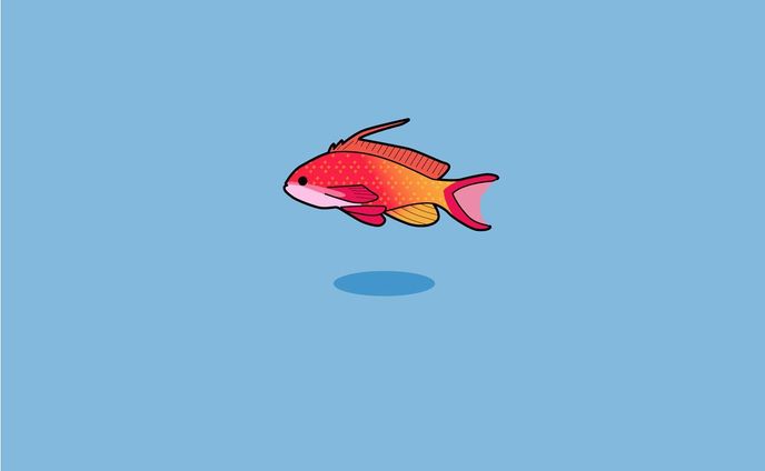 デザイナー・イラストレーター、海の生き物