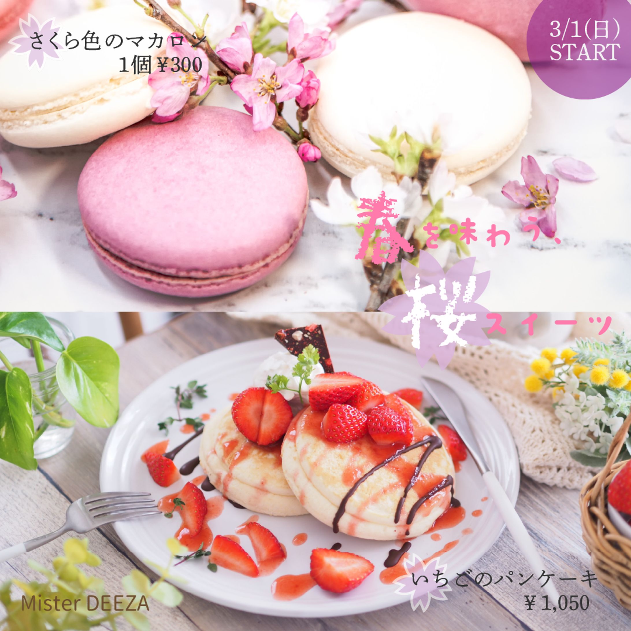 春限定「桜スイーツフェア」のSNS告知バナー（制作課題）-1