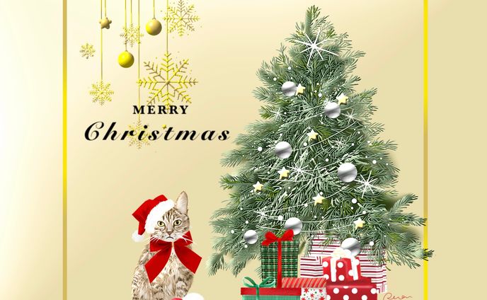 メリークリスマス🎄