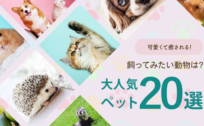【サンプル】ペット系サムネイル