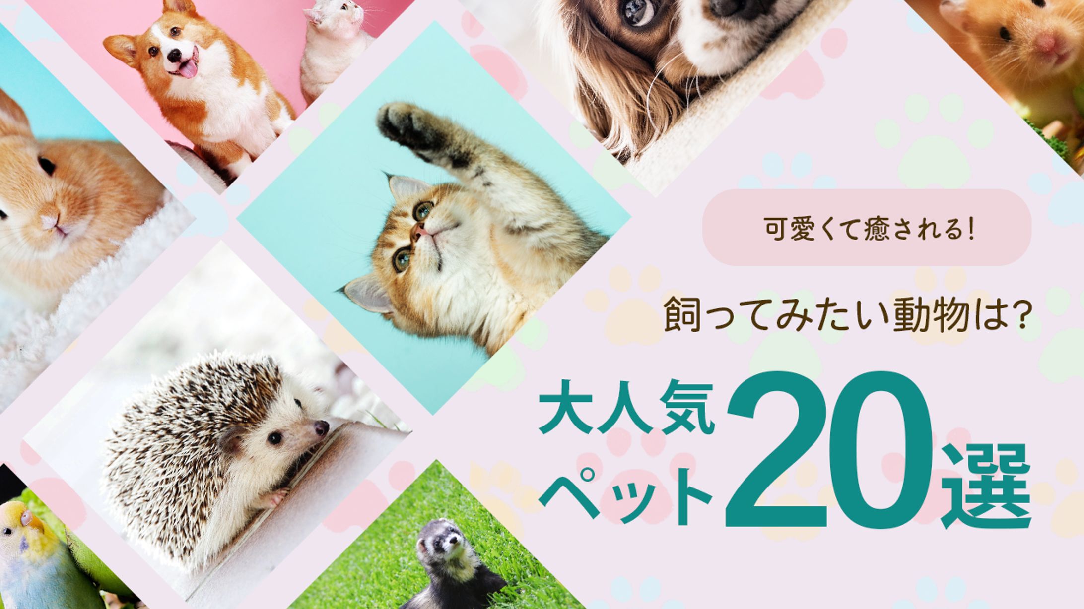 【サンプル】ペット系サムネイル-1