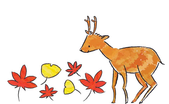 動物イラスト　少しデフォルメ