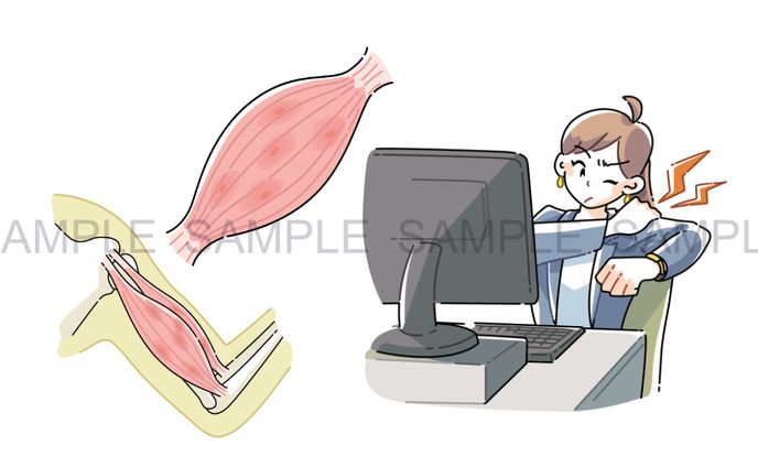 書籍カット