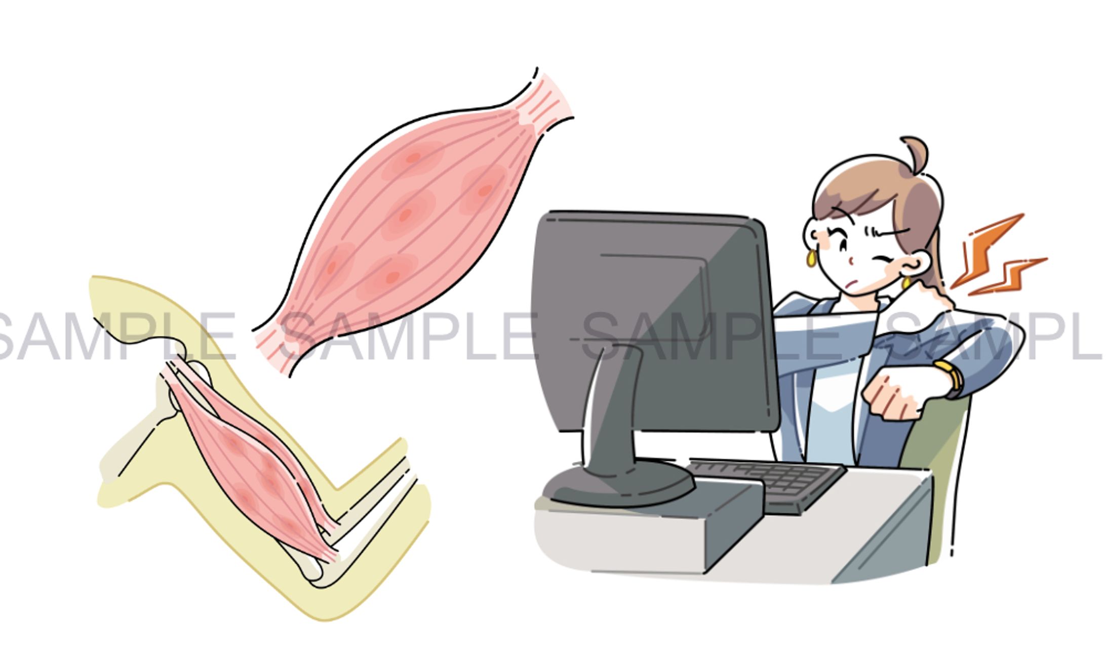 書籍カット-1