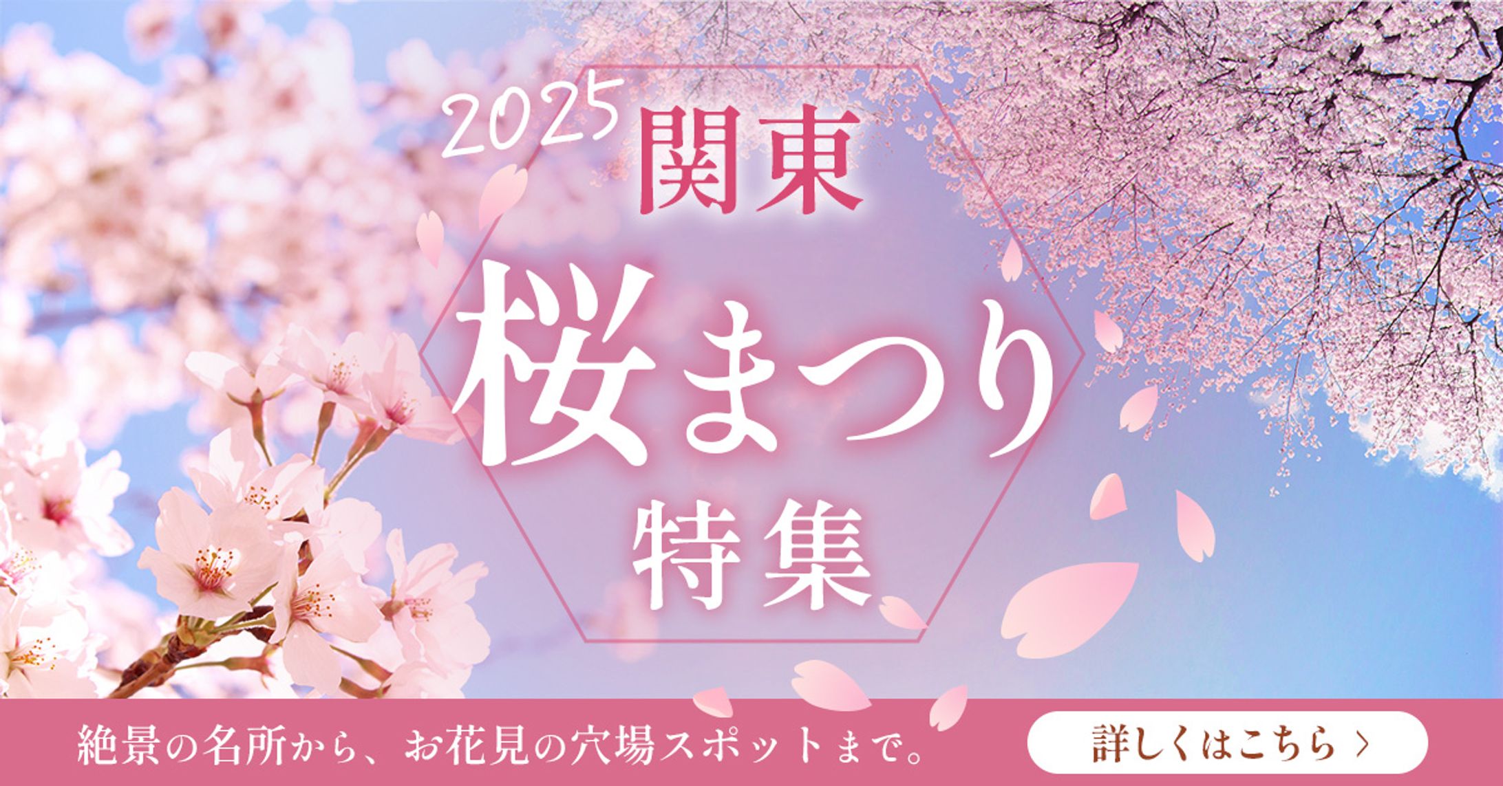 関東桜まつり特集　バナー-1