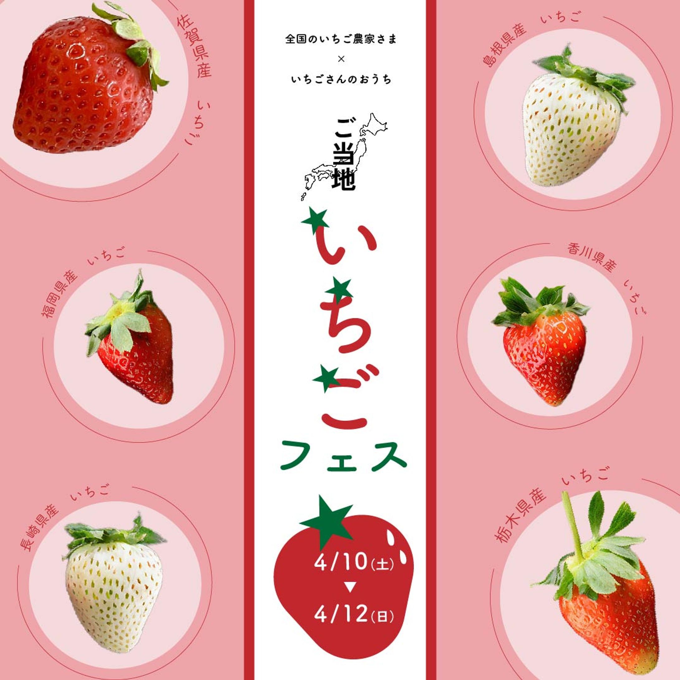 ご当地いちごフェス　バナー-1