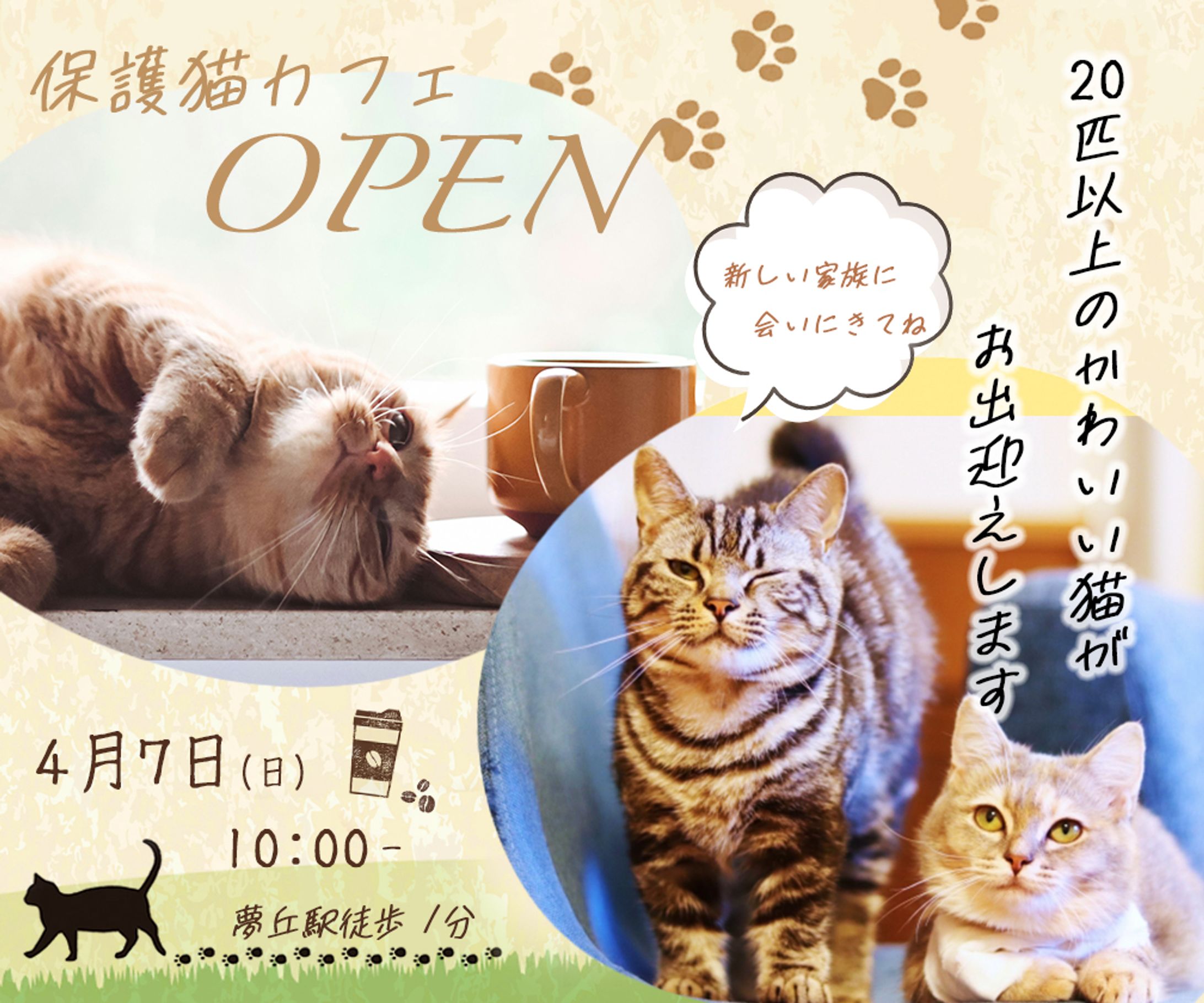 バナー：猫カフェバナー-1