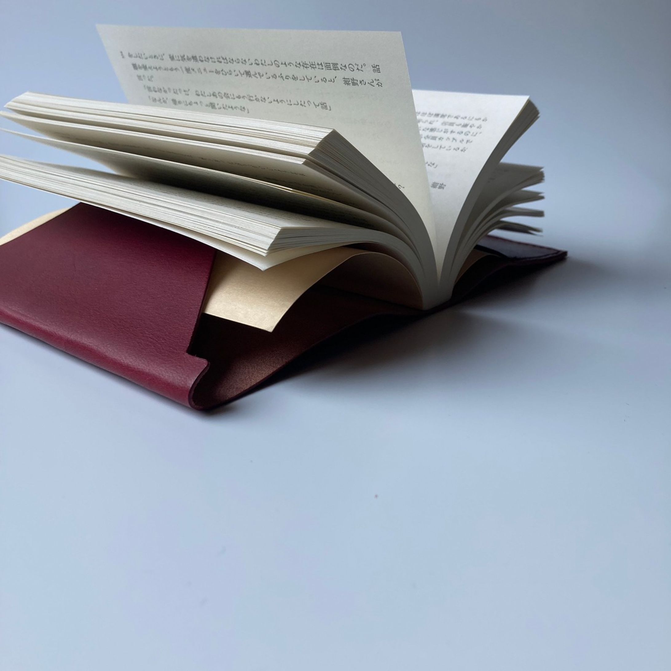 your book couver-1