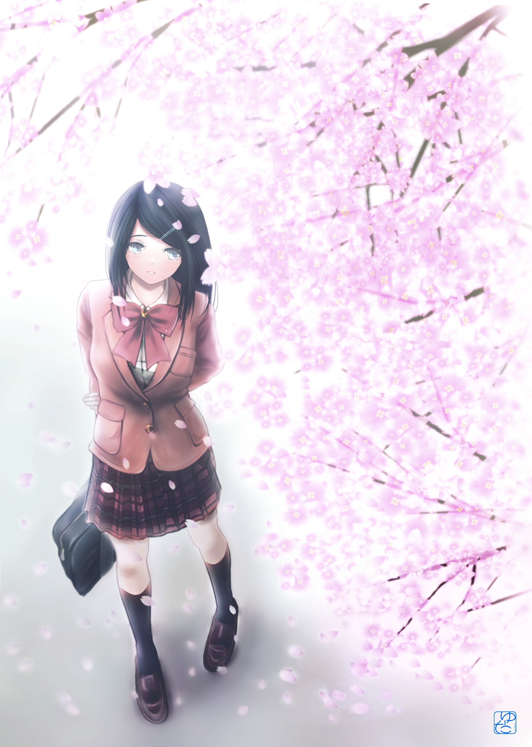 桜-1
