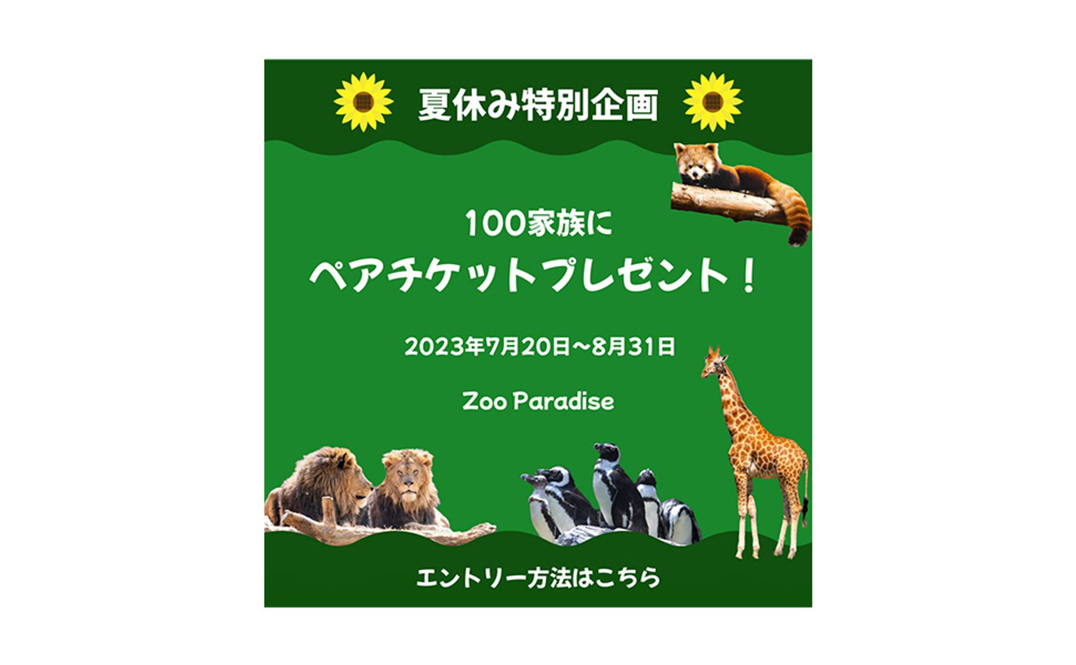 動物園のバナー-1