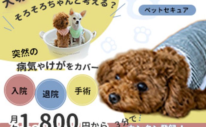 ペット保険　バナー